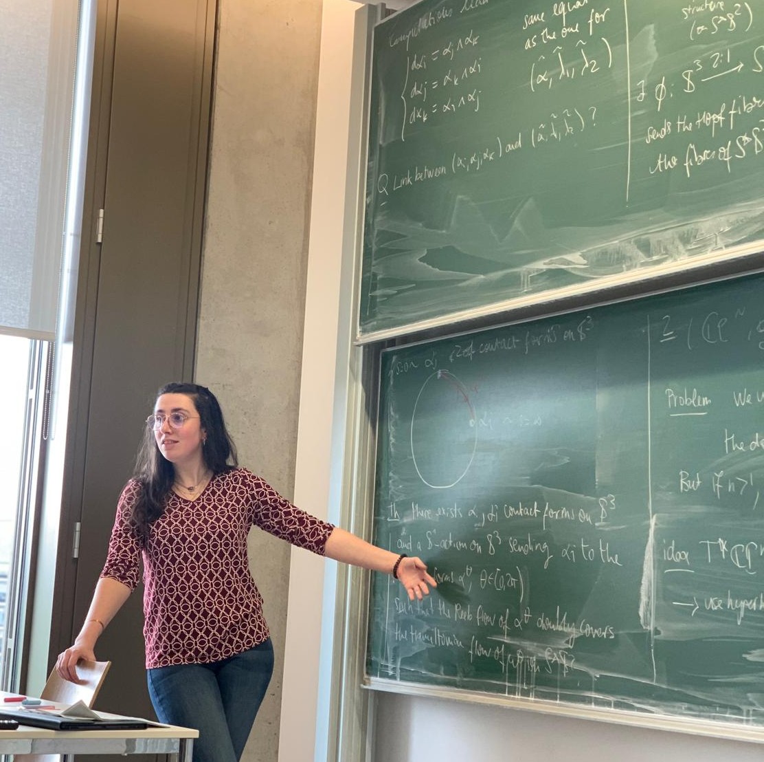Presenting questions in the Heidelberg Symplectic Seminar